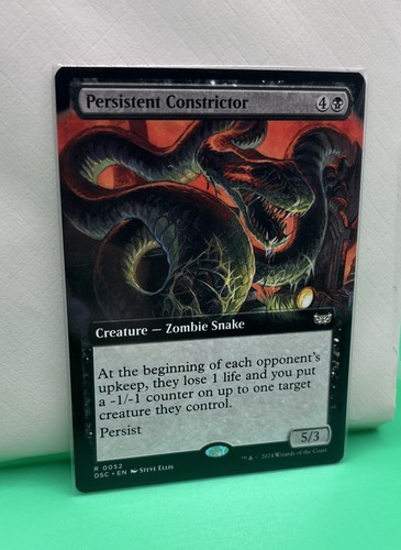Persistent constrictor - persistent,